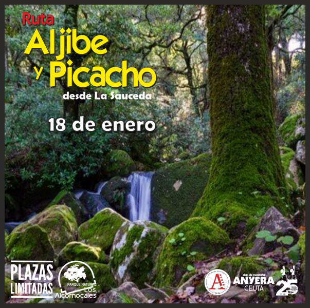 03-sauceda