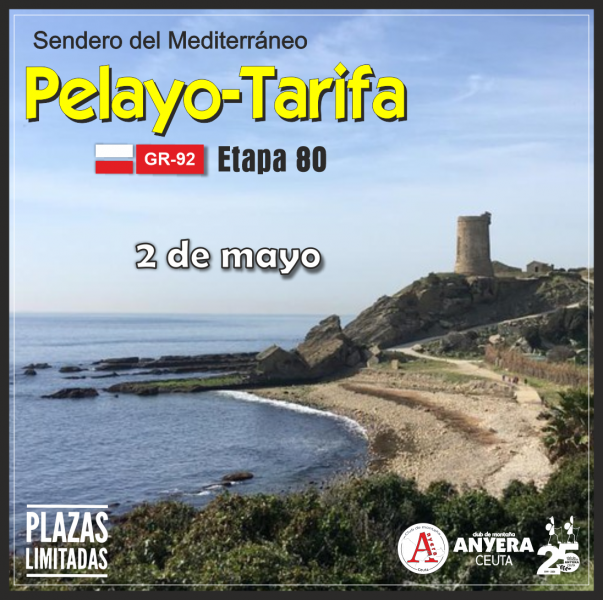 15-pelayo
