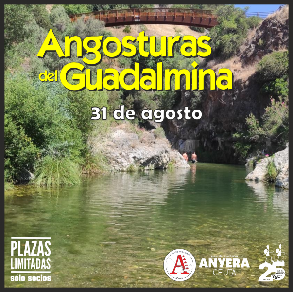 19-guadalmina