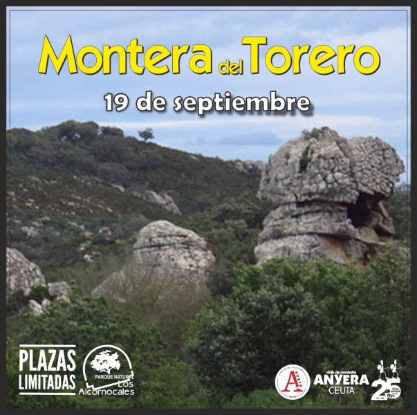 24-monteraT