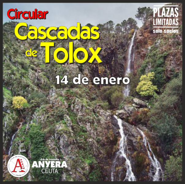 tolox_rsz